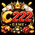 C222 Game